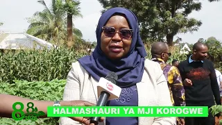 Nane Nane Special - Korogwe Town Council