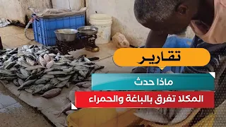 Al-Mukalla is Flooded with Baga and Hamra Fish.. What Happened?