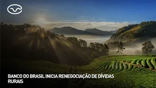 Banco do Brasil begins rural debt renegotiation