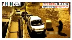 ゴミあさろうと？コンテナが坂道滑り落ちクマぼう然 図書館に現れたクマ 欲しかったのは本ではなくスナック菓子 トルコなど（2026年10月23日）