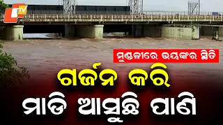 Mahanadi Water Level Rises at Mundali, River Flows Just 1.5 Feet Below Danger Mark