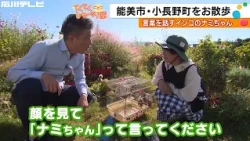 Konagano-machi, Nomi City... Chirping birds from a Halloween-themed garden