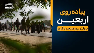 مشایه بزرگترین معجزه قرن 21 | گزارش زنده از پیاده روی اربعین | بازگشت به آینده