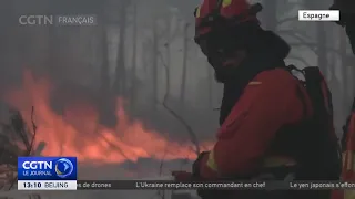 Heatwave fuels wildfires in France, Spain and Algeria