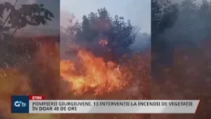 POMPIERII GIURGIUVENI, 13 INTERVENȚII LA INCENDII DE VEGETAȚIE ÎN DOAR 48 DE ORE