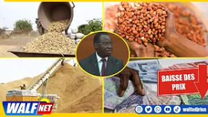 Serigne GueyeDiop apporte des précisions sur la baisse des prix et la comercialistaion de l'arachide