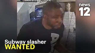 Man slashed in neck at Bronx subway station; suspect still on the run