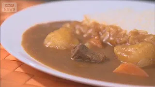 カレーライス物価が下落し1食349円　コメ下落と野菜供給安定【知っておきたい！】【グッド！モーニング】(2026年9月11日)
