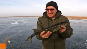 Охота на щуку