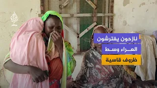 Qisan displaced persons face dire conditions in Wad Al-Mahi amid calls for urgent humanitarian in...