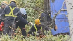 Hokkaido: Limited Express Train Collides with Bear, JR Soya Line Services Suspended Indefinitely ...