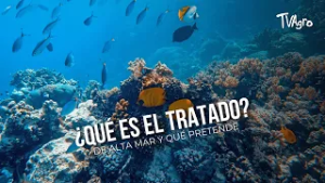 ¿qué es el tratado de alta mar y qué pretende? - TvAgro por Juan Gonzalo Angel