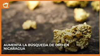 Rising Gold Prices Fuel Expansion of Mining Exploration