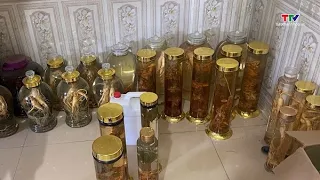 Seeking Victims in Consumer Fraud Case Involving Ngoc Linh Ginseng