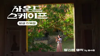 배롱나무 아래서 부르는 금잔디의 당신은 명작 #사운드스케이프