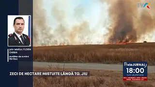 TENS OF HECTARES CONSUMED BY FIRE NEAR TÂRGU JIU