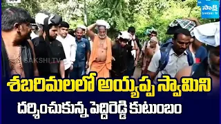 Peddireddy Family Visits Sabarimala Ayyappa Temple | Special Prayers Offered Sakshi Tv