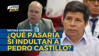 Natale Amprimo on PARDON FOR PEDRO CASTILLO: "Balcázar and ministers could face charges"