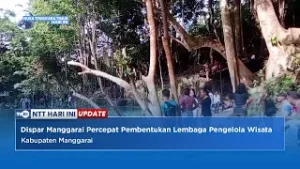 Tingkatkan Layanan, Dispar Manggarai Percepat Pembentukan Lembaga Pengelola Wisata