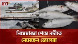 নিষেধাজ্ঞা শেষে নদীতে নেমেছেন জেলেরা | Chandpur | Fishing | Ekattor TV