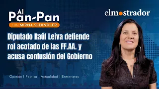 Deputy Raúl Leiva defends limited role of the Armed Forces and accuses the government of confusion
