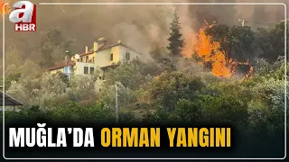 Forest fire in Fethiye, Mugla! Extinguishing efforts continue with 417 personnel | A Haber