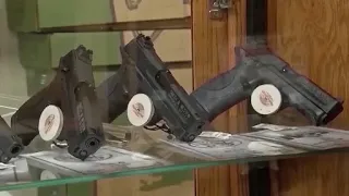 Gun regulations, license plate reader cameras: New laws activating Oct. 1