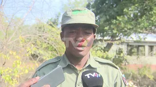 Forest protection: Banhine National Park faces shortage of 80 rangers
