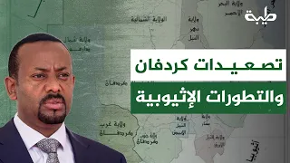Alaa El-Din Yousef: Kordofan escalations amidst Ethiopian developments