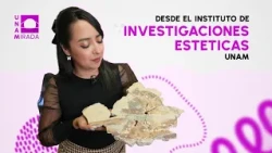 Institute of Aesthetic Research | UNAMirada