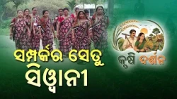 କୃଷି ଦର୍ଶନ | Krishi Darshan | EP#12 | ସମ୍ପର୍କର ସେତୁ ସିୱାନୀ | ଗୌରୀପ୍ରିୟା | DD Odia
