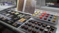 Let's Work in Wakayama! Company Guide [Taniguchi Co., Ltd.]