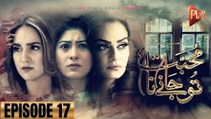 Mohabbat Tu Jane Na Episode 17 || Jawariya & Hannan | New Pakistani Drama | Play TV