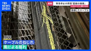 スカイツリーのエレベーター“閉じ込め”原因は「内部配線の損傷」 安全確認し26日からは営業再開【news23】｜TBS NEWS DIG