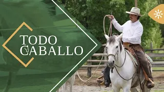 TodoCaballo | Granada hosts the first colt taming meet-up