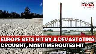 Crisis In Europe: Devastating Drought Hits Trade, Key Waterways Affected | Watch Video