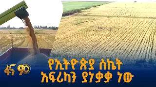 የኢትዮጵያ የስንዴ ተሞክሮ በአህጉራዊው አውደ ጥናት