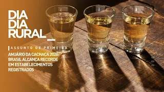 Cachaça Yearbook 2026: Brazil Reaches Record Number of Registered Establishments