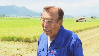 「高市総理には愛想尽かした」コメ余りに農家が悲鳴　売値は生産原価の半分以下に…肥料代や燃料代は高騰「今年でやめる」農家も（2026年8月4日放送）