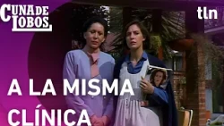 Alejandro takes his wife and his mistress to the SAME CLINIC | Cuna de Lobos Episode 56
