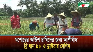 যশোরের আউশ চাষিদের জন্য আশীর্বাদ ব্রি ধান ৯৮ ও ড্রাইয়ার মেশিন