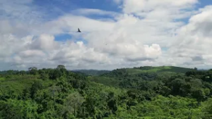 Un momento de Paz | INTI Tv