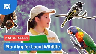 How to help wild animals!  | Gardening Australia Junior | ABC Kids