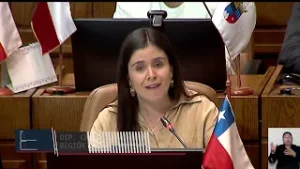 Cámara pide ley corta para reparar a damnificados por incendios en Valparaíso