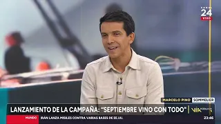 Sommelier por categoría de vino bajo alcohol: "Es justamente para llegar a nuevos consumidores"