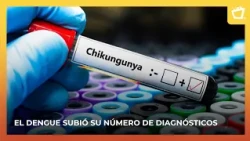 Chikungunya cases continue to rise in Nicaragua