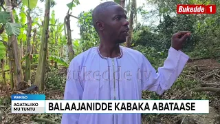 Ttuntu:  Ssekabaka Kateregga  amasiro ge gali mu lusuubo   Balajaaniidde Kabaka abataase