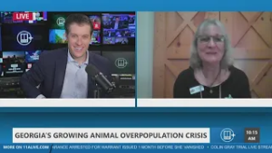 Nonprofit unveils roadmap to tackle pet overpopulation