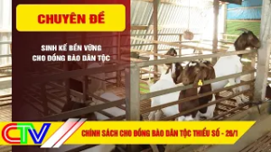 CHÍNH SÁCH CHO ĐỒNG BÀO DÂN TỘC THIỂU SỐ 26-2-2026 | SINH KẾ BỀN VỮNG CHO ĐỒNG BÀO DÂN TỘC