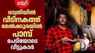 മേൽക്കൂരയിൽ പാമ്പ്,പേടിച്ച് വീട്ടുകാർ | Common Trinket Snake Rescue | Snakemaster EP 1214